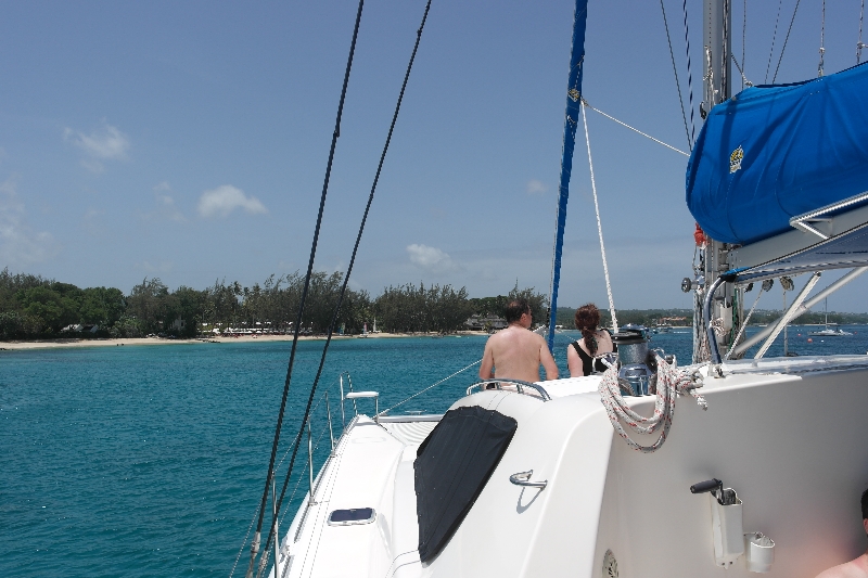 Barbados Catamaran Calabaza - Kurs in Richtung Schildkröten