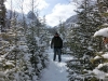 Alex im schneebedeckten Wald von Canmore