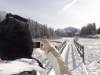 Zauberhaftes Canmore: Sandra fotografiert die Winterlandschaft