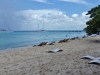 Carribean-Stars-Saona07