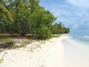 Carribean-Stars-Saona20