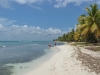 Carribean-Stars-Saona25