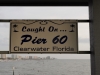 Foto-Tafel für die Angler von Clearwater Beach: Caught on Pier 60