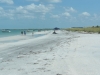 Strand von Caladesi Island bei Clearwater Florida
