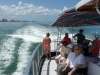 Dolphin Watching mit Little Toot in Clearwater
