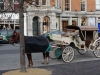 Dublin 02