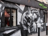 Dublin 25