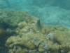 gili-islands0255
