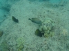 gili-islands0256