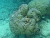 gili-islands0315