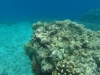 gili-islands0317