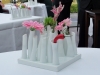 dsc09955