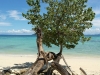 ko-phi-phi-thailand14
