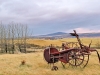 Island im Winter: Die Landschaft wirkte eher herbstlich im November