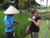 Laman Padi: Paddy Fiels - Reisfeld Langkawi