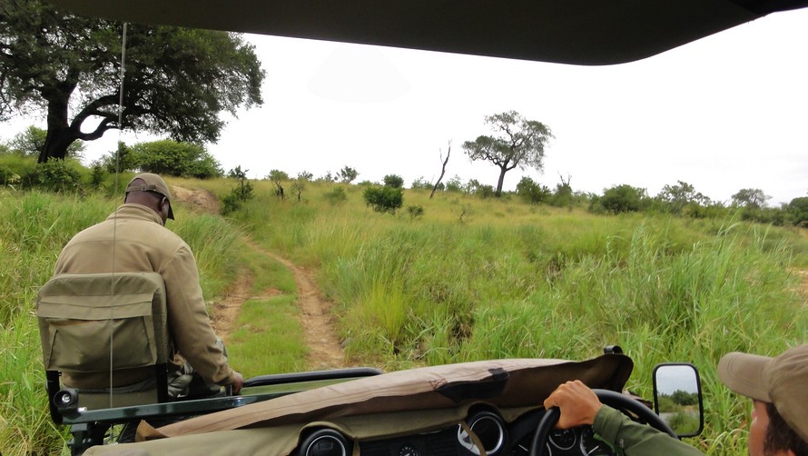 Mit Tracker George und unserem Guide geht es auf Safari