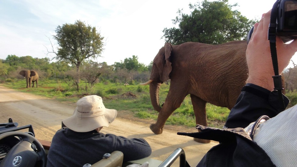 Elefanten hautnah: Safari mit unserem Guide Obakeng (Thakadu River Camp)