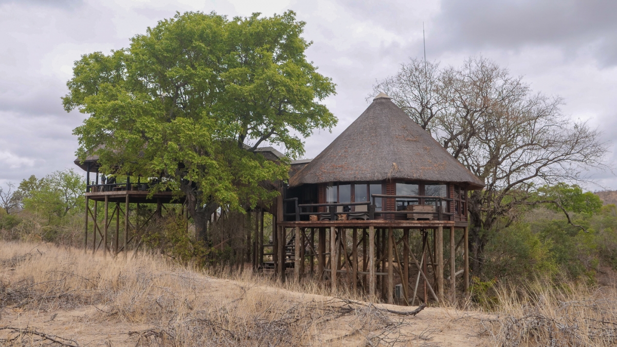 Ulusaba Safari Lodge-1111823