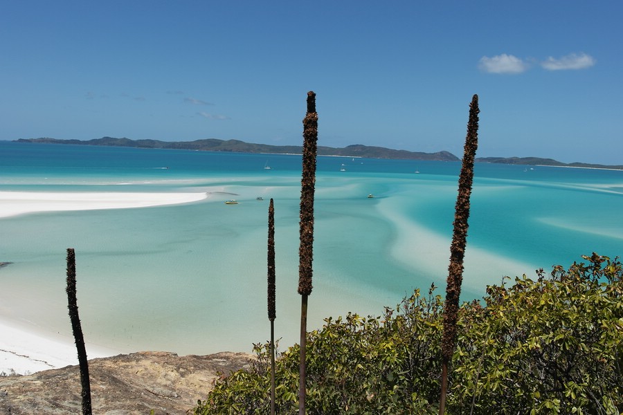 Awesome panorama view to Hill Inlet of Whitehaven Beach
