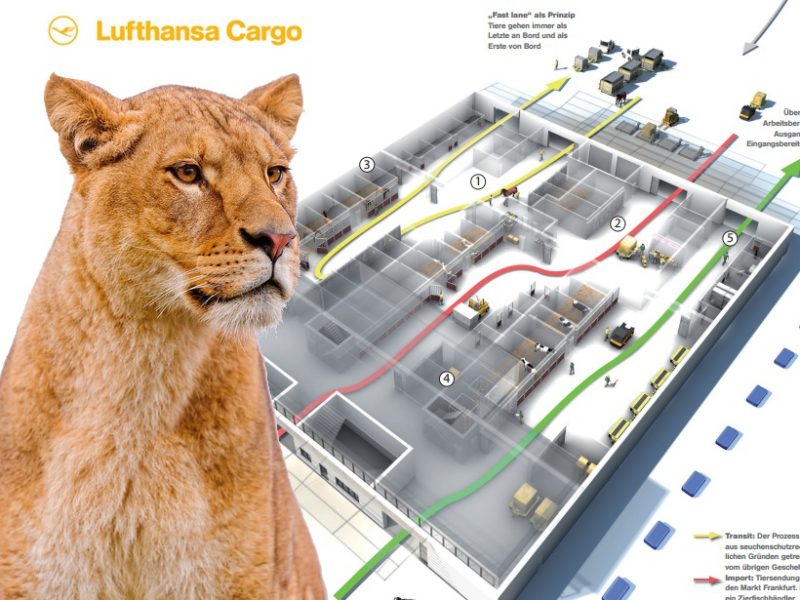 Expedition Flughafen: Frankfurt Animal Lounge 