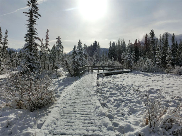 Canmore: Romantisches Winter Wonderland