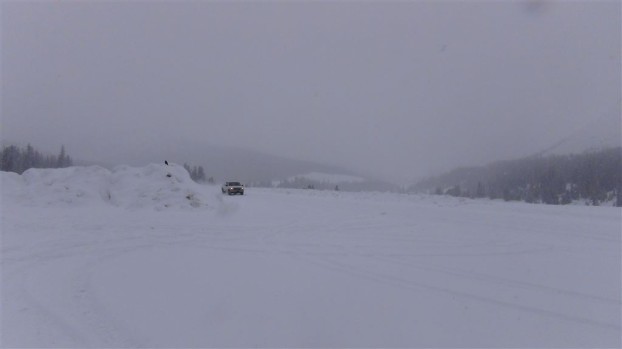 Just white: Schneesturm auf dem Icefields Parkway