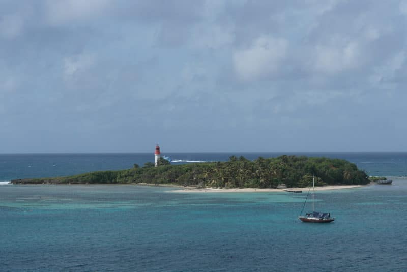 Guadeloupe: Karibischer Schmetterling der Vielfalt