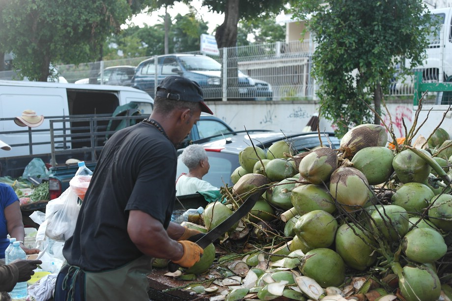 Kokosnüsse auf einem Markt auf Guadeloupe