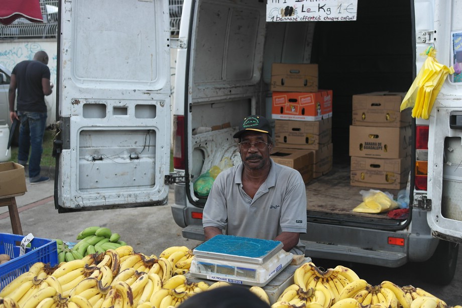 Bananen auf einem Markt auf Guadeloupe