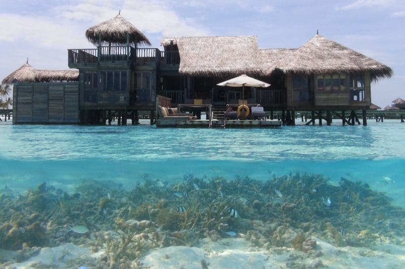 Honeymoon-Paradies: Gili Lankanfushi Malediven