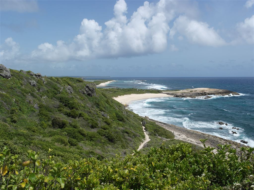 Ausblick nahe des Gipfels auf die wilde Küste von Guadeloupe
