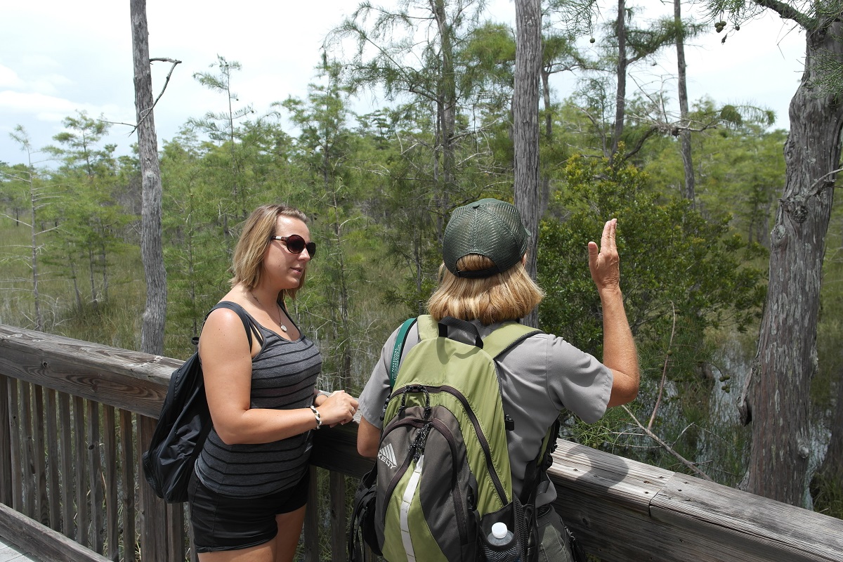 Big Cypress: Auf den Spuren des Florida Panthers