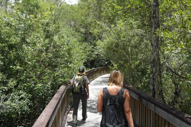 Wanderung über einen Boardwalk im Big Cypress Preserve