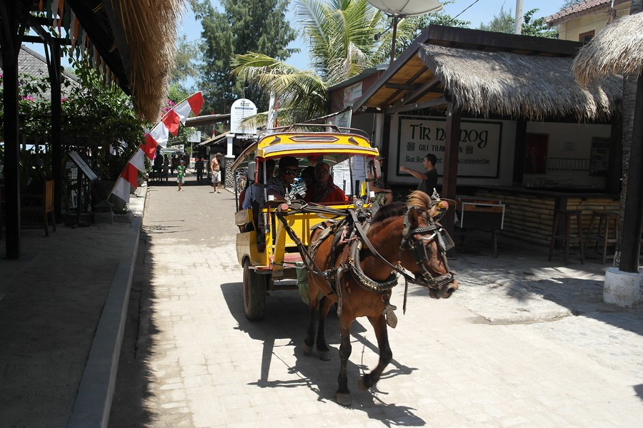 Kutsche in der "Hauptstraße" von Gili Trawangan