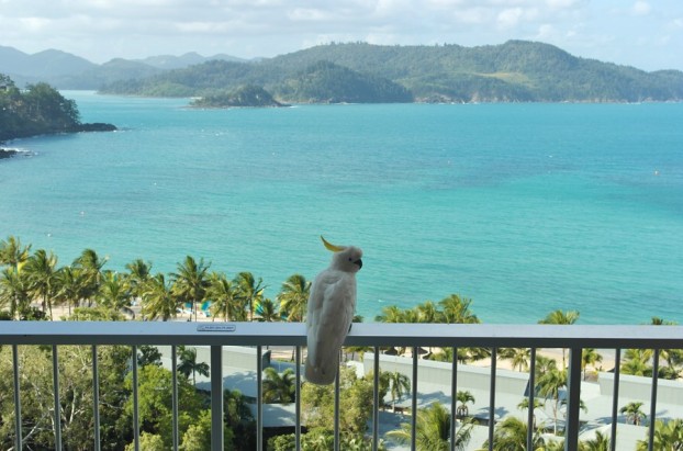 Nicht von schlechten Eltern: Der Blick von unserem Zimmer im Reef View Hotel Hamilton Island