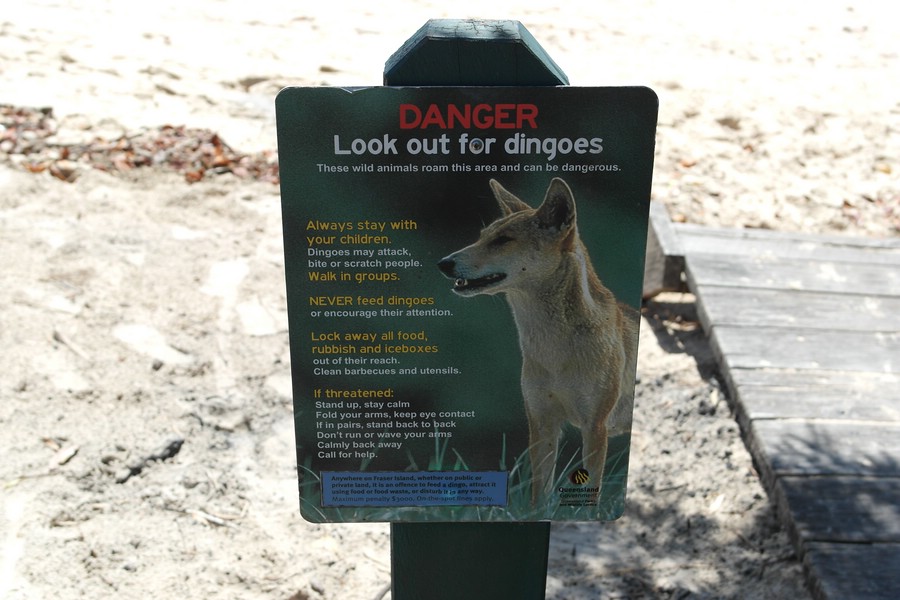 Look out for Dingoes: Warnschild auf Fraser Island