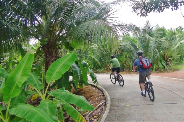 Spiceroads Bangkok: Mit dem Fahrrad durch die Plantagen in der Countryside