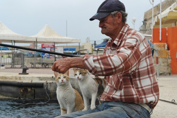 Ein alter Fischer teilt seinen Fang mit einigen Katzen