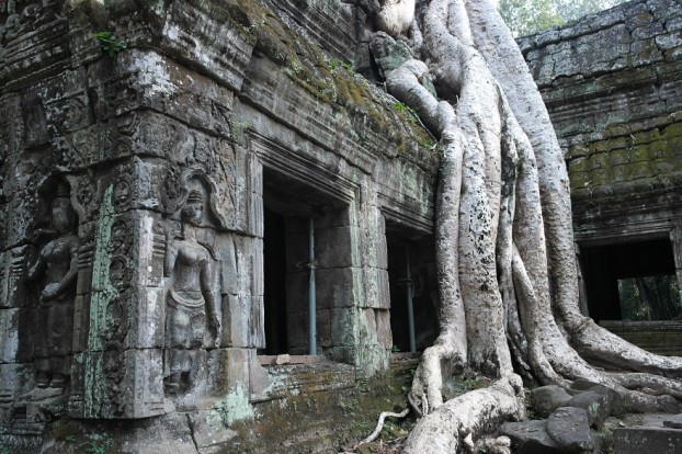 Ta Prohm Temple Angkor Trees