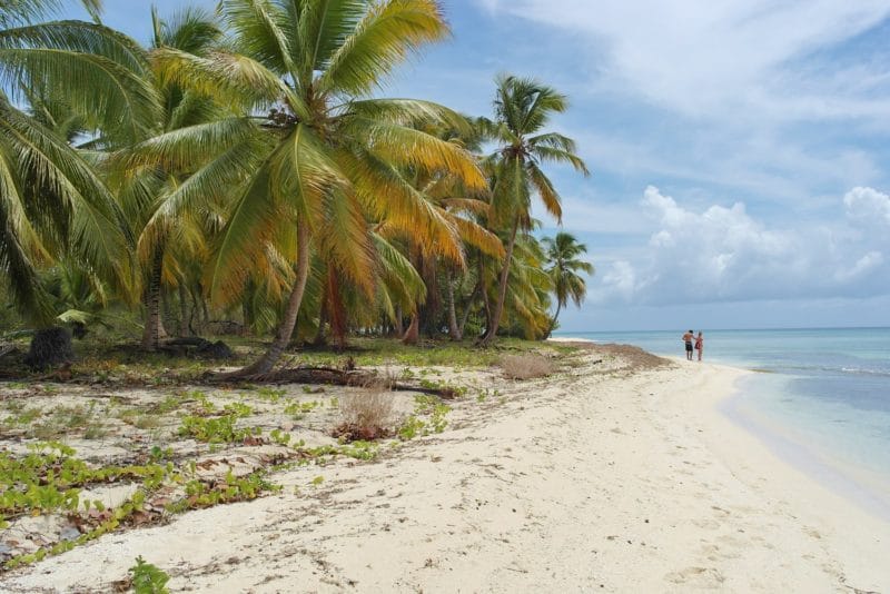 Carribean Stars: Mit Raddampfer, Speedboot & Co. auf die Isla Saona