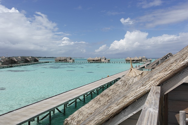 Nicht nur im Dezember Urlaub ein Traum: Die Malediven