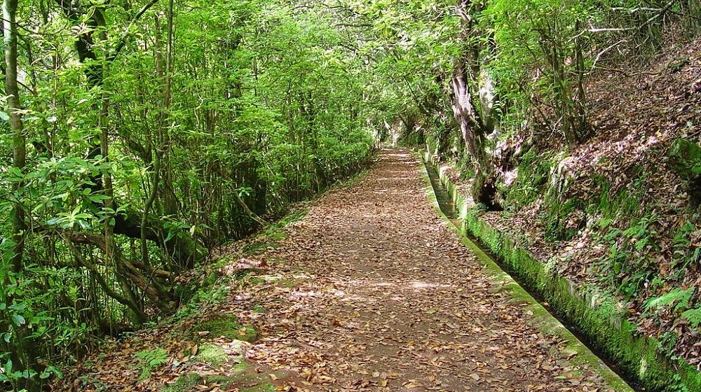 Levada-Wanderungen Madeira