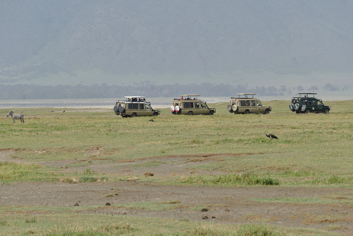Fahrzeuge im Ngorongoro Krater“ srcset=