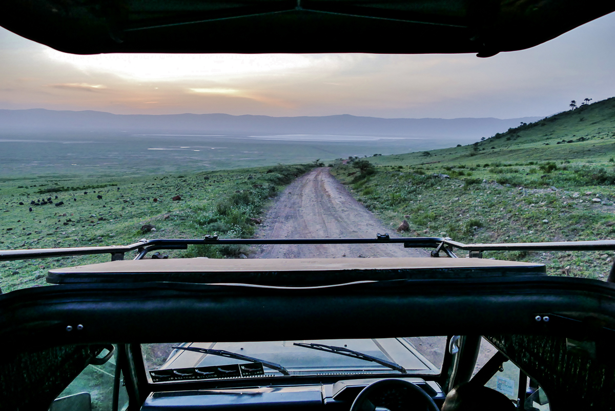 Morning Game Drive im Ngorongoro Krater“ srcset=