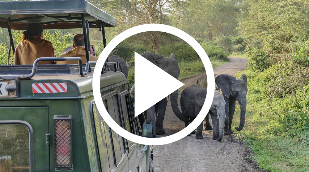 Ngorongoro Krater Safari“class=