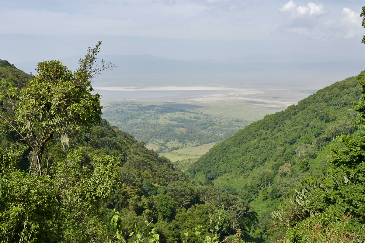 Ngorongoro Krater View“ srcset=
