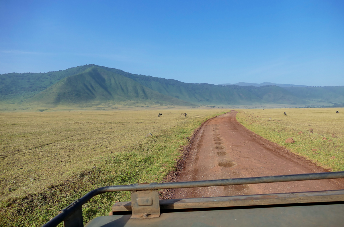 Safari im Tierparadies Ngorongoro Krater