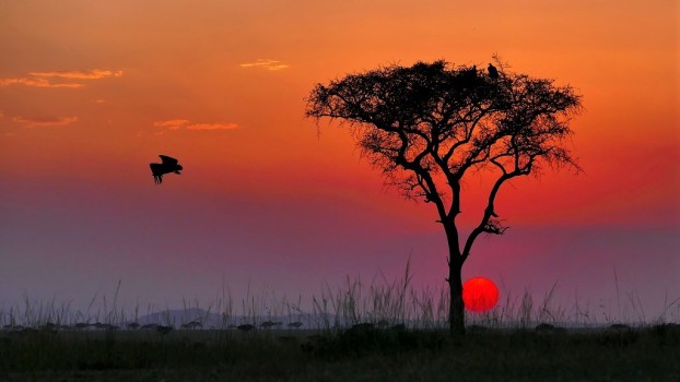 Sonnenuntergang Afrika Tansania