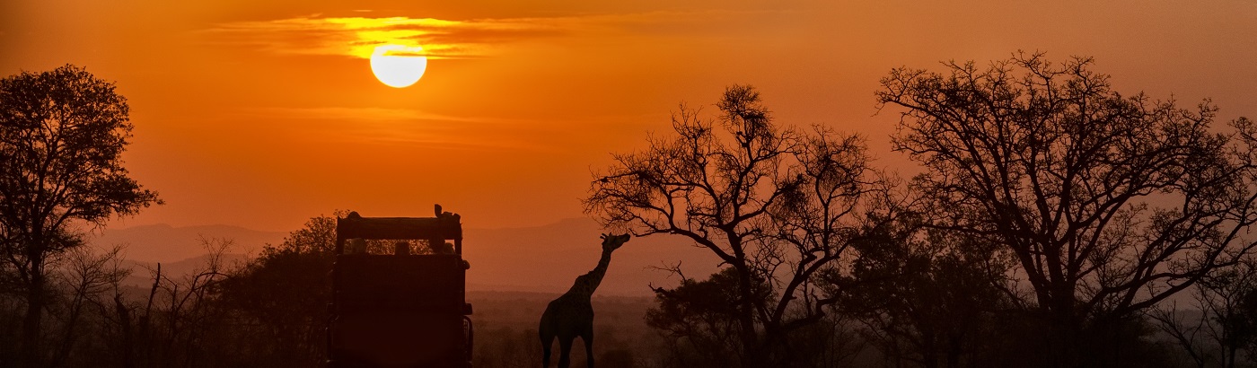 Eine gute Wahl für Urlaub im April: Safari in Afrika