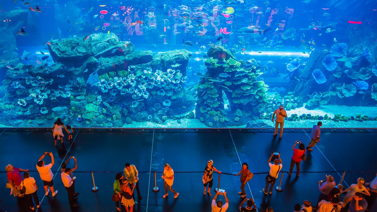 Dubai Aquarium in der Dubai Mall